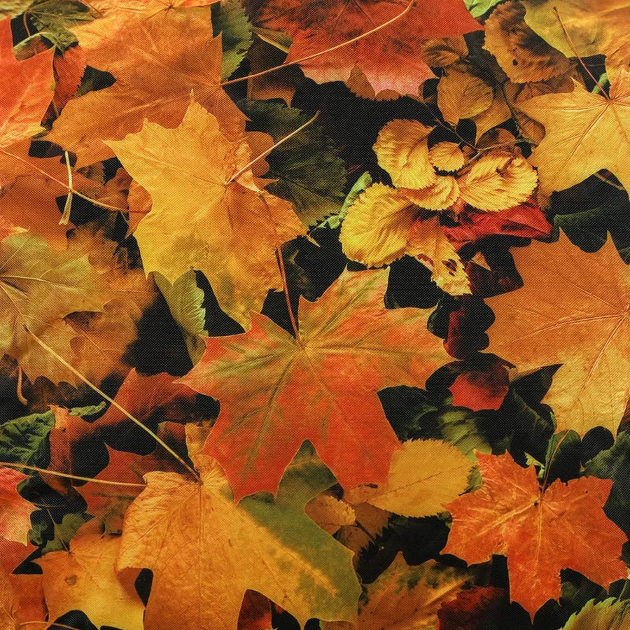 Eden Learning Learn About Nature Autumn Leaves Beanbag ED1KPOLEAVES 88880 7