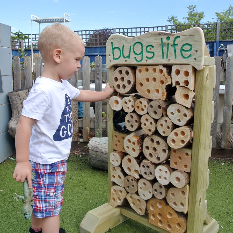 Bugs Life