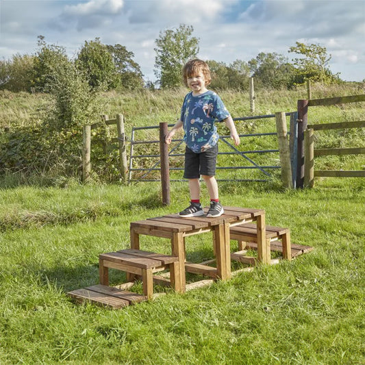 Up And Down Platform Steps - 2 Piece Set
