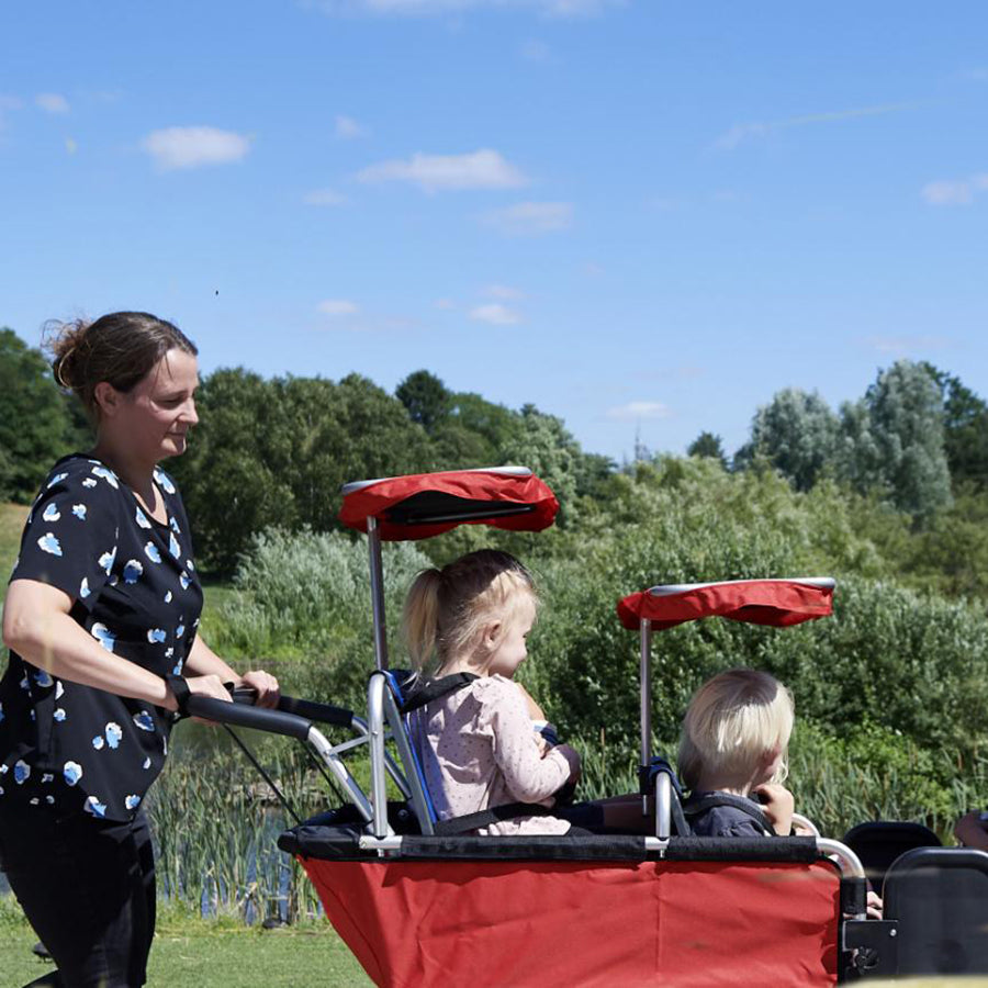 Turtle Kiddy Bus - Sun Canopy