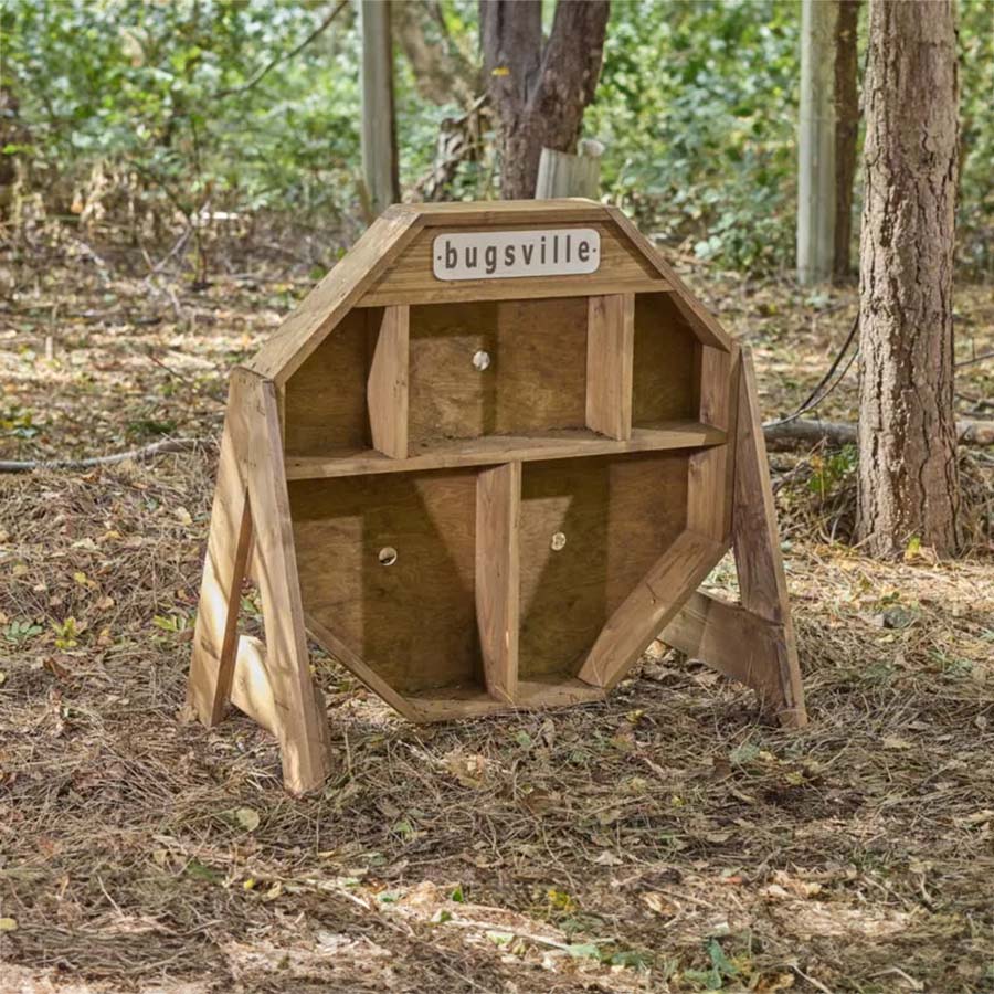 Bugsville Hive