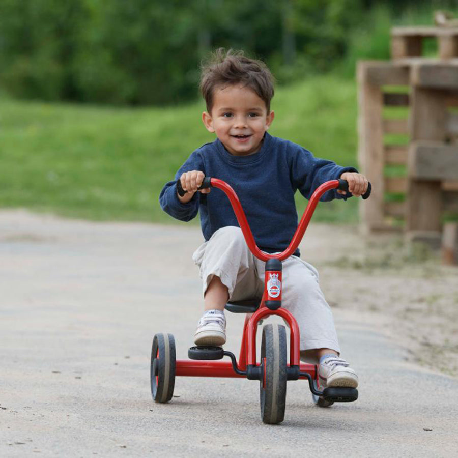 Mini Viking Low Tricycle - Ages 1-4