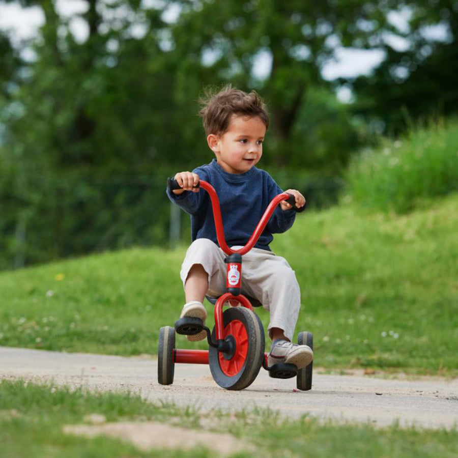 Mini Viking Low Tricycle - Ages 1-4