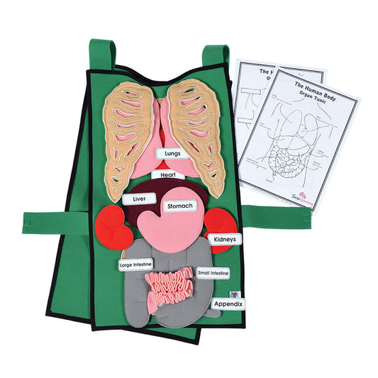 Organ Tunic & Organ Set