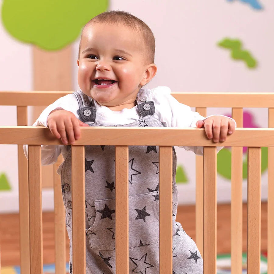 Evacuation Cot