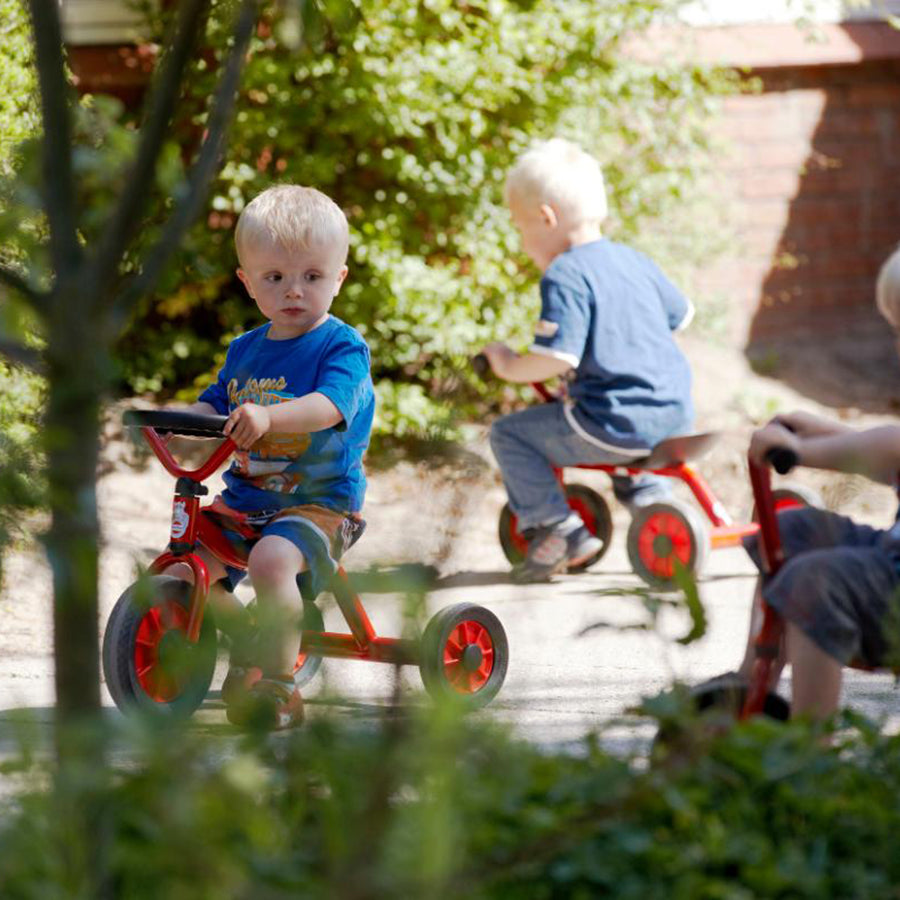 Mini Viking Push Car - Ages 1-3