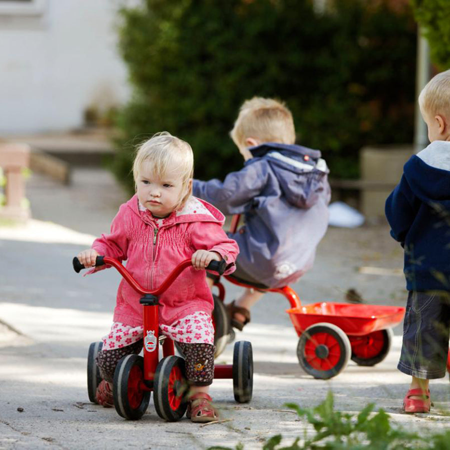 Mini Viking Learning To Ride Bundle 2 - Pushbike for 1 & Pushbike for 2