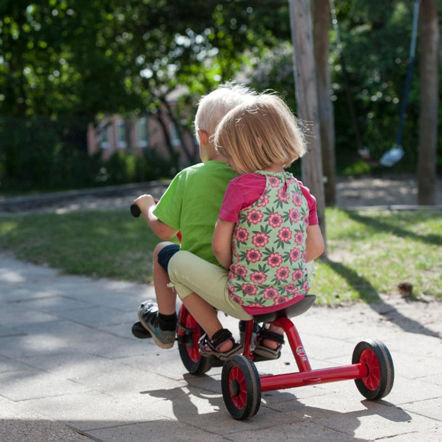 Mini Viking Taxi - Ages 1-4