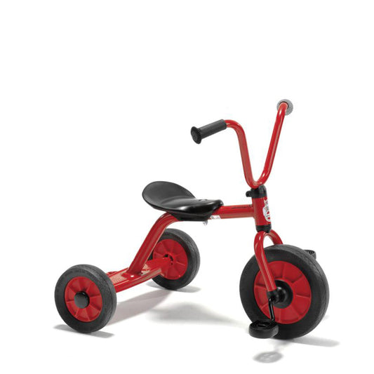 Mini Viking Tricycle With Plate - Ages 2-4