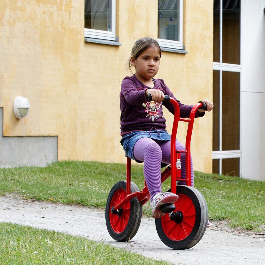 Viking Bicycle Large - Ages 6-10