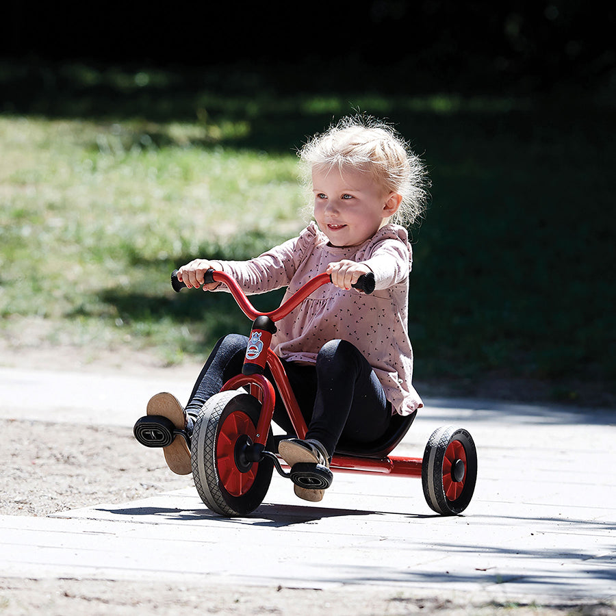 Mini Viking Easy Rider - Ages 2-4