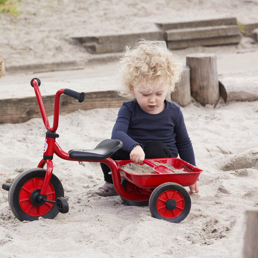 Mini Viking Tricycle With Tray - Ages 2-4
